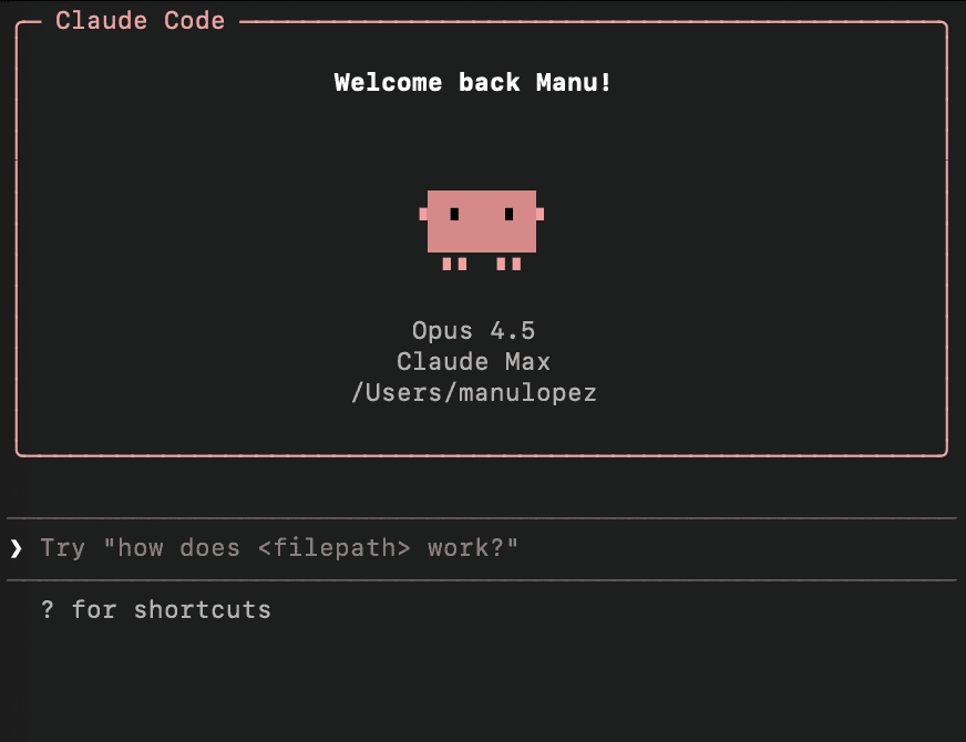 Claude Code in terminal